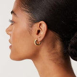 Starlight Gold Hoop Earrings