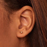 Polished Gold Ball Stud Earrings