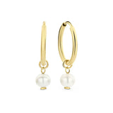 Regal Gold Earrings