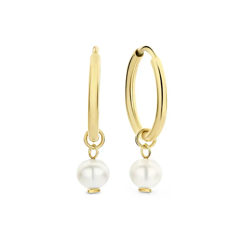 Regal Gold Earrings