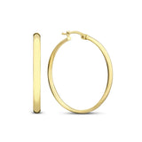 Noa Serane Earrings | White Gold