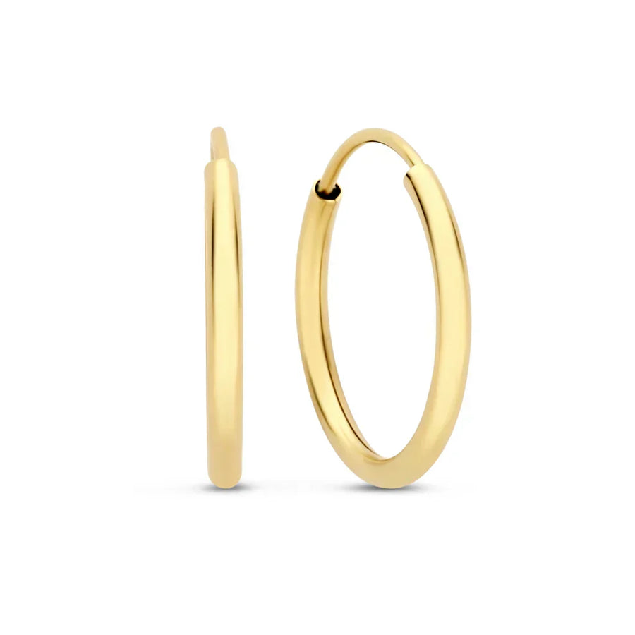 Noélie Sorel Gold Earrings