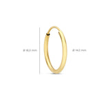 Noélie Sorel Gold Earrings