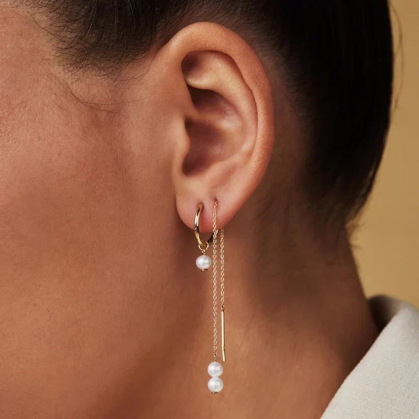 Regal Gold Earrings