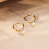 Regal Gold Earrings